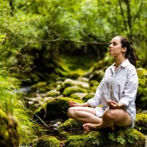 Tauberchalet I Whirlpool, Sauna, Natur & Detoxvibes I Privates Boutiquechalet Fuer Bis 6 Personen Rothenburg ob der Tauber